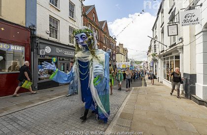 Going Deeper with Secondary English: Engaging with the More than Human World