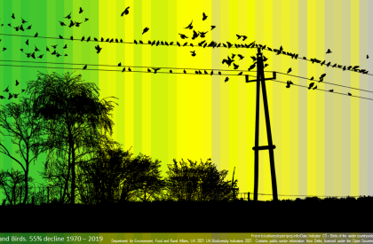 Going Deeper in Primary Mathematics: The Power of Data