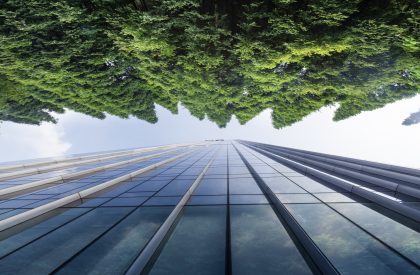 Making Connections: Living Cities