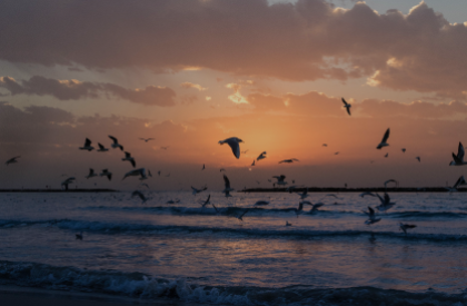 Going Deeper in Primary Geography: Teaching Weather & Climate