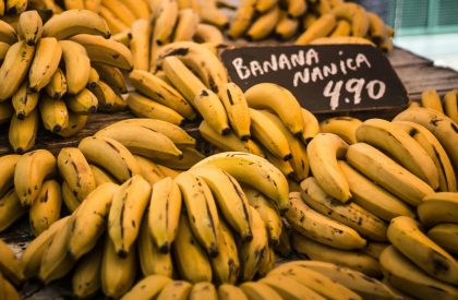 Where to Start in Primary Geography