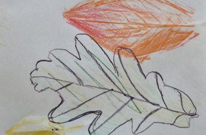 Where to Start in Primary Mathematics